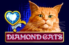 Diamonds Cats